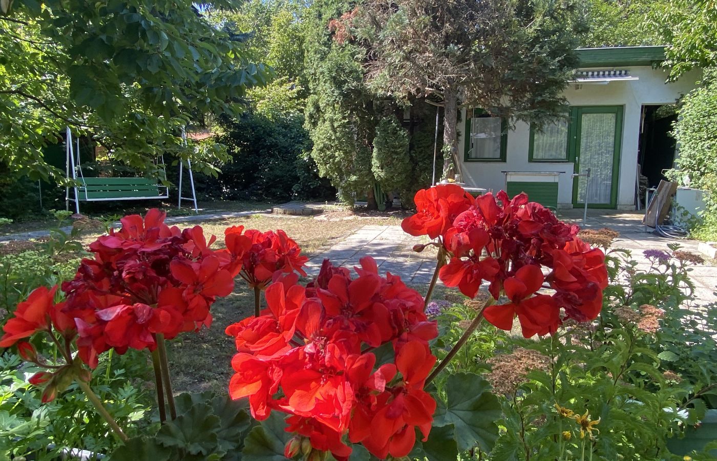szobák (5)